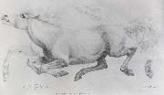 William Strutt Lady Blunt-s Arab mare,Sherifa oil painting